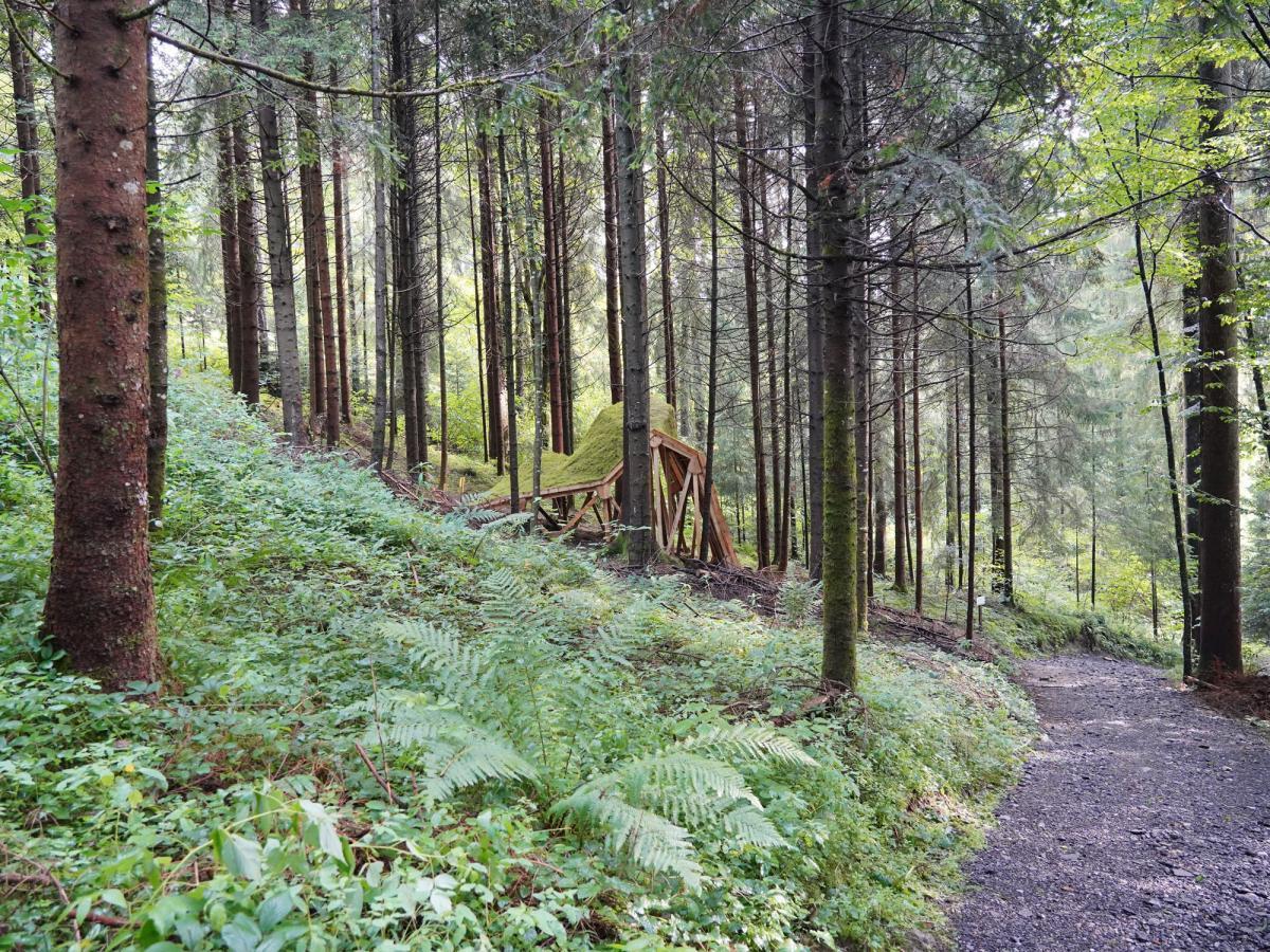 Bindestrich 21 Weg Grenzerhiasle 2 b